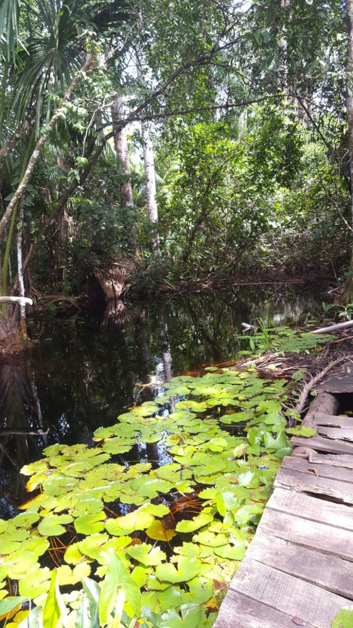 A1-Vastenbrief 2018-afb2-11-1803